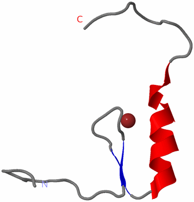 Image NMR Structure - model 1