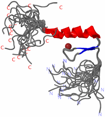 Image NMR Structure - all models