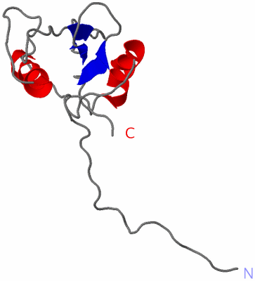 Image NMR Structure - model 1