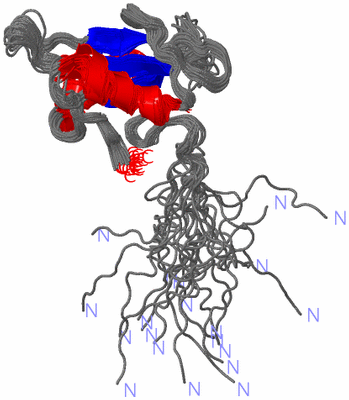 Image NMR Structure - all models