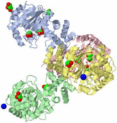 Image Asym./Biol. Unit