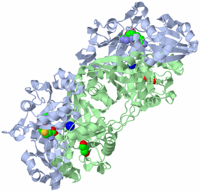 Image Biological Unit 2