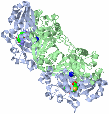 Image Biological Unit 2