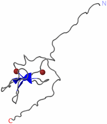 Image NMR Structure - model 1