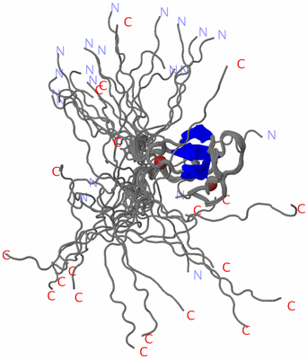 Image NMR Structure - all models