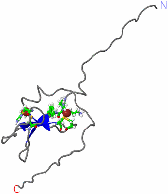 Image NMR Structure - model 1, sites