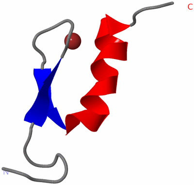 Image NMR Structure - model 1