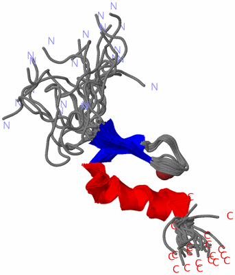 Image NMR Structure - all models