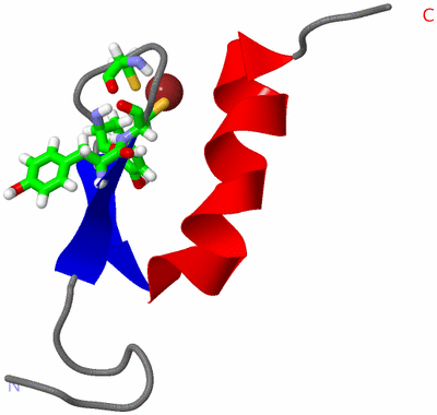 Image NMR Structure - model 1, sites