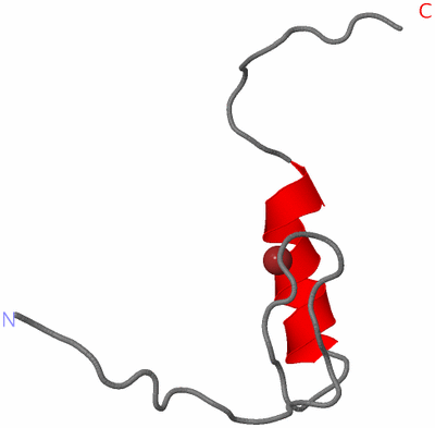 Image NMR Structure - model 1