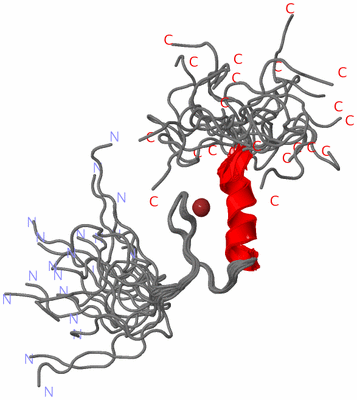 Image NMR Structure - all models