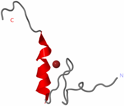 Image NMR Structure - model 1