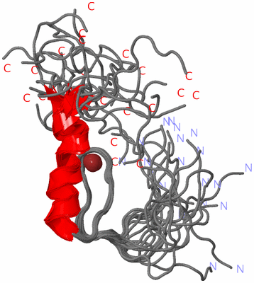 Image NMR Structure - all models