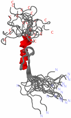 Image NMR Structure - all models