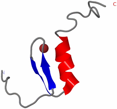 Image NMR Structure - model 1