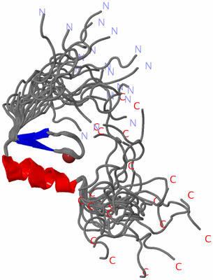 Image NMR Structure - all models