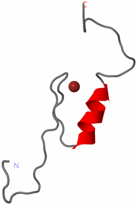 Image NMR Structure - model 1