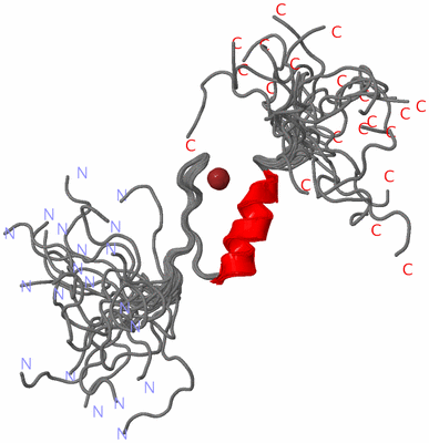 Image NMR Structure - all models