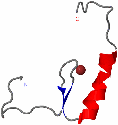 Image NMR Structure - model 1