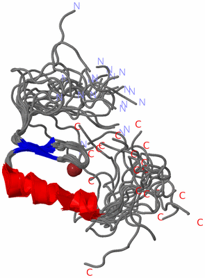 Image NMR Structure - all models