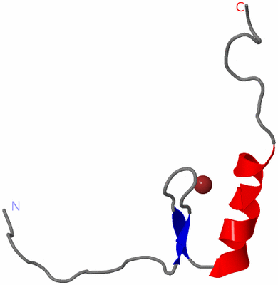 Image NMR Structure - model 1