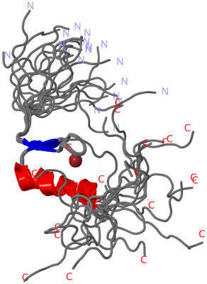 Image NMR Structure - all models