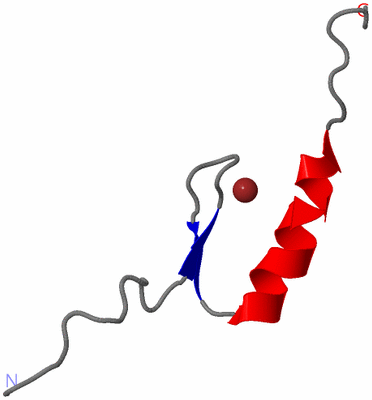 Image NMR Structure - model 1