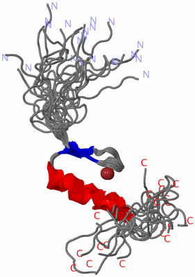 Image NMR Structure - all models