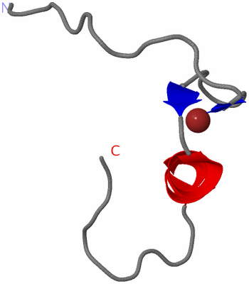 Image NMR Structure - model 1