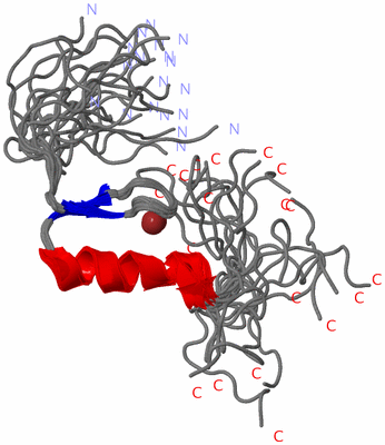 Image NMR Structure - all models