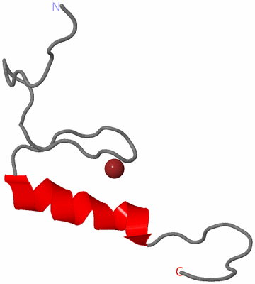 Image NMR Structure - model 1