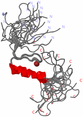 Image NMR Structure - all models