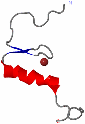 Image NMR Structure - model 1