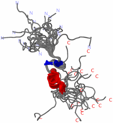 Image NMR Structure - all models