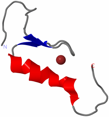 Image NMR Structure - model 1