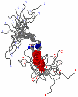 Image NMR Structure - all models