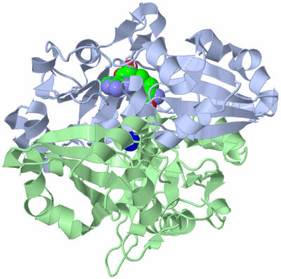 Image Asym./Biol. Unit