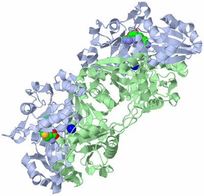 Image Biological Unit 2