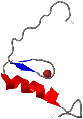 Image NMR Structure - model 1