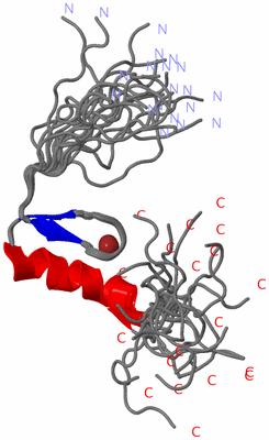 Image NMR Structure - all models