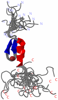 Image NMR Structure - all models