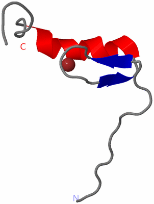 Image NMR Structure - model 1