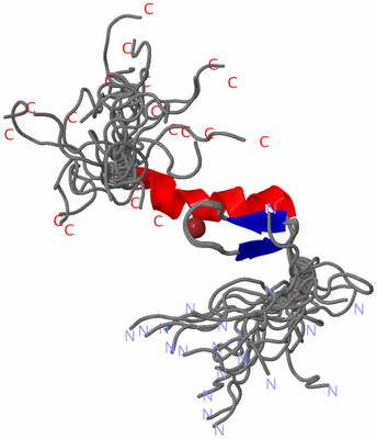 Image NMR Structure - all models