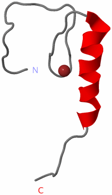 Image NMR Structure - model 1