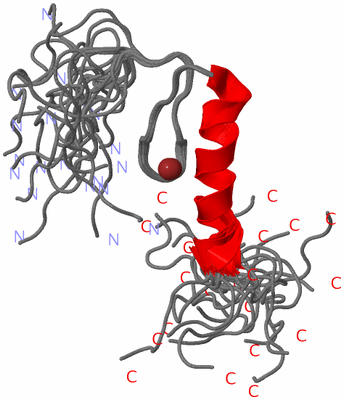 Image NMR Structure - all models