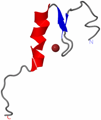 Image NMR Structure - model 1