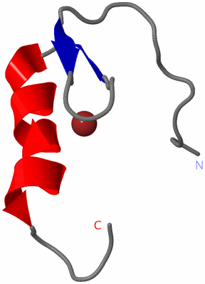 Image NMR Structure - model 1