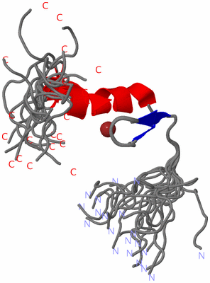 Image NMR Structure - all models