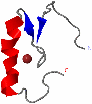 Image NMR Structure - model 1