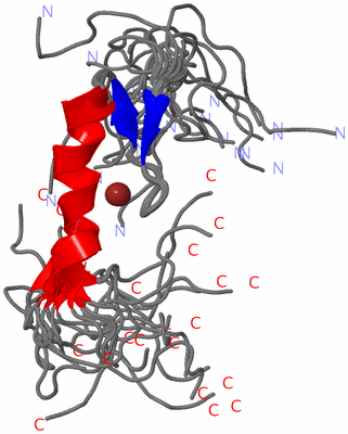 Image NMR Structure - all models